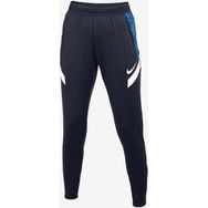 Nike CW6093-013 Kadın Eşofman Altı