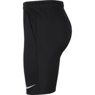Nike CW6152-010 Siyah Erkek Şort