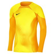 Nike DH7967-719 Sarı Gardien IV Dri-Fit Uzun Kollu Spor Erkek T-Shirt