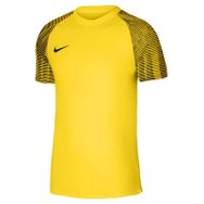 Nike DH8031-719 M Nk Df Academy Jsy Ss Erkek Sarı Futbol Tişört