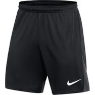 Nike DH9236-014 M Nk Df Acdpr K Erkek Şort