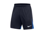 Nike DH9236-451 Df Acdpr Short Erkek Şort