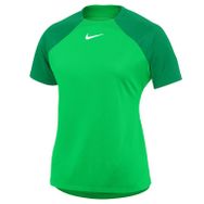 Nike DH9242-329 Yeşil Academy Pro Dri-Fit Spor Kadın T-Shirt
