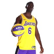 Nike DN2009-728 Los Angeles Lakers Icon Edition NBA Sarı Erkek Basketbol Forma