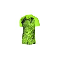 Nike DR0944-702 Precision VI Dri-Fit Sarı Spor Erkek T-Shirt