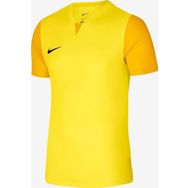 Nike Dri-Fit Trophy V Jsy Dr0933-719 Sarı Erkek Forma