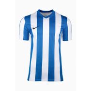 Nike FZ9337-101 Mavi Dri-FIT Stripe Jersey SS Erkek T-Shirt