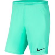 Nike Mavi Dri-Fit Park III Erkek Futbol Şortu