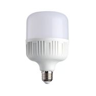 Noas YL95-3001 30W E27 6500K Beyaz Led Torch Ampul