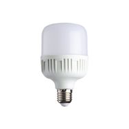 Noas YL95-4001 40 Watt Beyaz Işık Torch Ampul