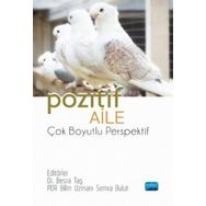 Nobel Akademik Yayıncılık Pozitif Aile Çok Boyutlu Perspektif