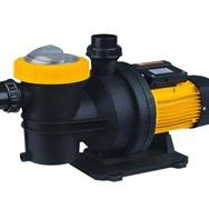 Nortek HCP 150 M Ön Filtreli Havuz Pompası