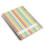 Notte 62202 150 Yaprak Plastik Kapak Spiralli A6 Ayraçlı Kareli Defter