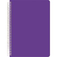 Notte A4 Arc 120 Yaprak Çizgili Defter