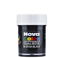 Nova Color NC-108 Siyah Şişe Guaj Boya