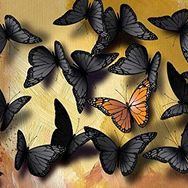 Nova Puzzle Benzersiz Olmak 1000 Parça Puzzle