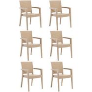 Novussi 6 Adet Cappuciono Paris Rattan Kollu Sandalye Koltuk