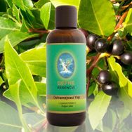 Nuka 30 ml Soğuk Pres Defne Meyvesi Yağı