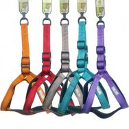 Nunbell 2.5 cm Köpek Göğüs Tasması