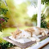 Nusrat Bilişim Cama Asılan Kedi Yatağı