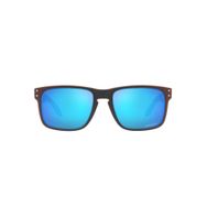 Oakley Kahverengi Holbrook Erkek Güneş Gözlüğü