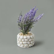 Objevi 10x5x5 cm Asorti Mini Saksıda Lavanta