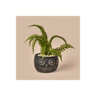 Objevi 29 cm Siyah Yeşil Saksılı Yapay Çiçek