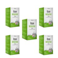 Ocean Methyl Folat 400 mcg 5x30 Tablet