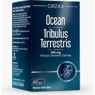 Ocean Tribulus Terrestris İçeren 60 Kapsül