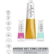 Ohlala Cinnamon 75 ml + Fresh Mint 15 ml + Raspberry Mint 15 ml Spring Set Diş Macunu