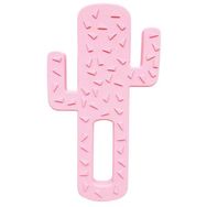 Oioi Pembe Diş Kaşıyıcı Kaktüs