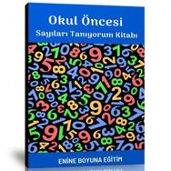 Okul Öncesi Sayıları Tanıyorum Kitabı