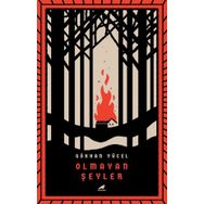 Olmayan Şeyler - Füsun Çetinel
