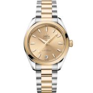 Omega 220.20.34.20.08.001 Seamaster Auqa Terra Kadın Kol Saati