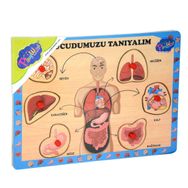 Onyıl Oyuncak Ahşap Tutmalı Vücudumuzu Tanıyalım