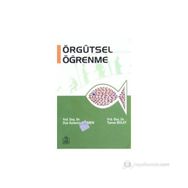 ÖRGÜTSEL ÖĞRENME - OYA AYTEMIZ SEYMEN;TAMER BOLAT