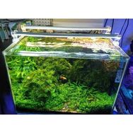 OrionLed Daylight 50 cm 3000K Akvaryum Led Aydınlatma