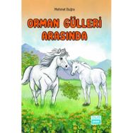 Orman Gülleri Arasında - Mehmet Buğra