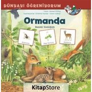 Ormanda Resimli Sözlüğüm / Dünyayı Öğreniyorum / Barbel Oftring