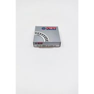Ors 6004 ZZ Rulman