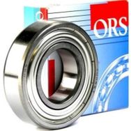 Ors 6007 ZZ Rulman