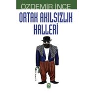 Ortak Akılsızlık Halleri - Özdemir İnce