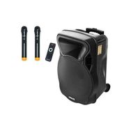 Osawa OSW-9135 150 Watt 38 cm Taşınabilir Portatif Seyyar Ses Sistemi