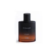 Osse Ethnic EDP 100 ml Erkek Parfümü