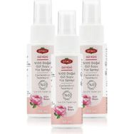 Otacı %100 Doğal Gülsuyu 50 ml Gül Kürü Yüz Spreyi