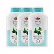 Otacı Duvar Sarmaşığı 3x400 ml Şampuan