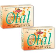 Otacı Otal Çam Katranlı ve Kükürtlü 2x80 gr Sabun