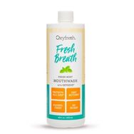 Oxyfresh 473 ml Naneli Ağız Bakım Suyu