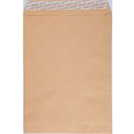 Oyal Formula Silikonlu 17x25 100 gr Torba Zarf