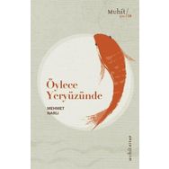 Öylece Yeryüzünde - Mehmet Narlı